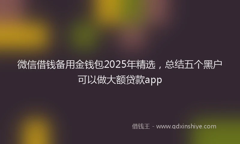 微信借钱备用金钱包2025年精选，总结五个黑户可以做大额贷款app