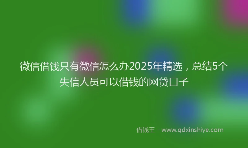 微信借钱只有微信怎么办2025年精选，总结5个失信人员可以借钱的网贷口子