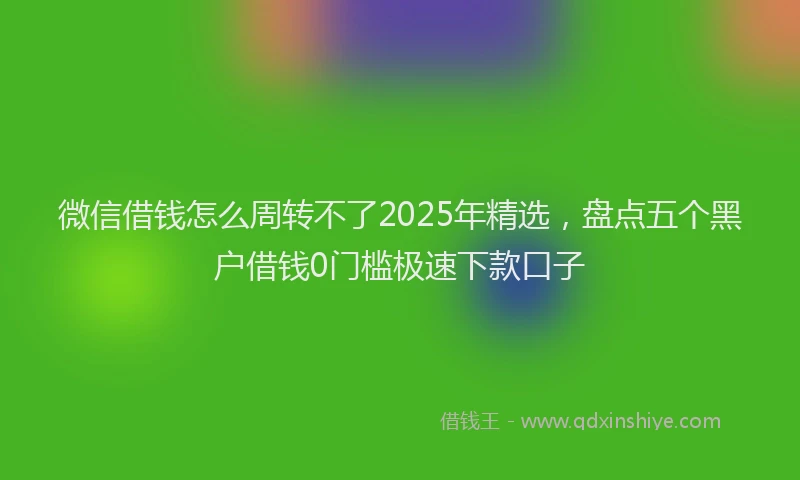 微信借钱怎么周转不了2025年精选，盘点五个黑户借钱0门槛极速下款口子
