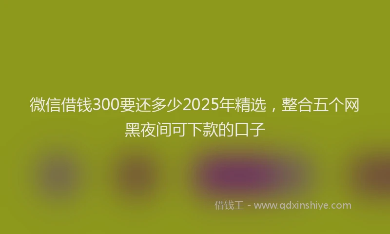 微信借钱300要还多少2025年精选，整合五个网黑夜间可下款的口子