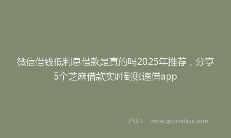 微信借钱低利息借款是真的吗2025年推荐，分享5个芝麻借款实时到账速借app