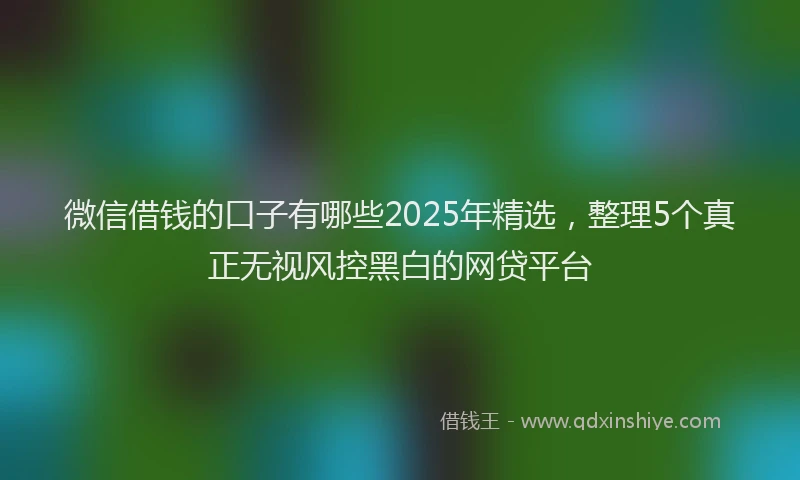 微信借钱的口子有哪些2025年精选，整理5个真正无视风控黑白的网贷平台