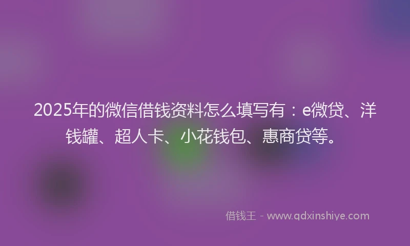2025年的微信借钱资料怎么填写有：e微贷、洋钱罐、超人卡、小花钱包、惠商贷等。