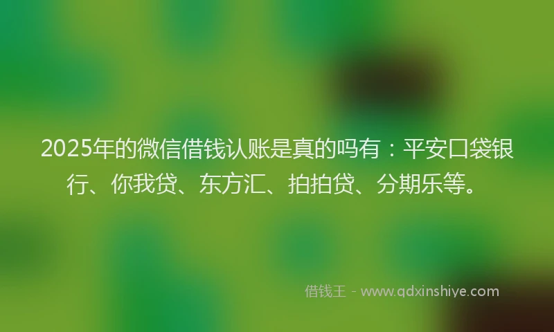 2025年的微信借钱认账是真的吗有：平安口袋银行、你我贷、东方汇、拍拍贷、分期乐等。