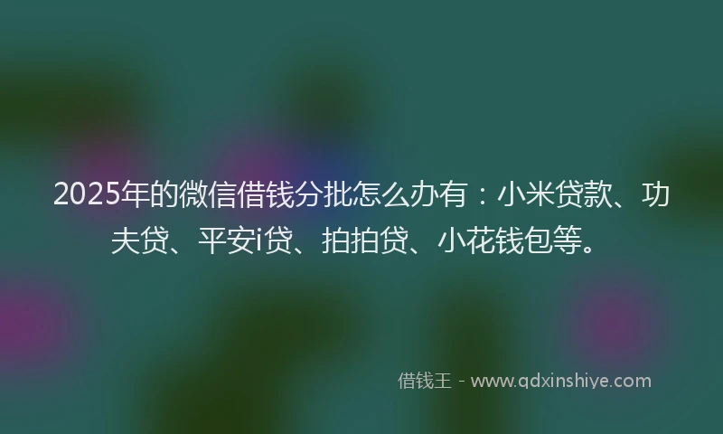 2025年的微信借钱分批怎么办有：小米贷款、功夫贷、平安i贷、拍拍贷、小花钱包等。