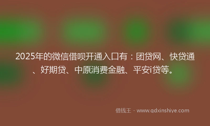 2025年的微信借呗开通入口有：团贷网、快贷通、好期贷、中原消费金融、平安i贷等。
