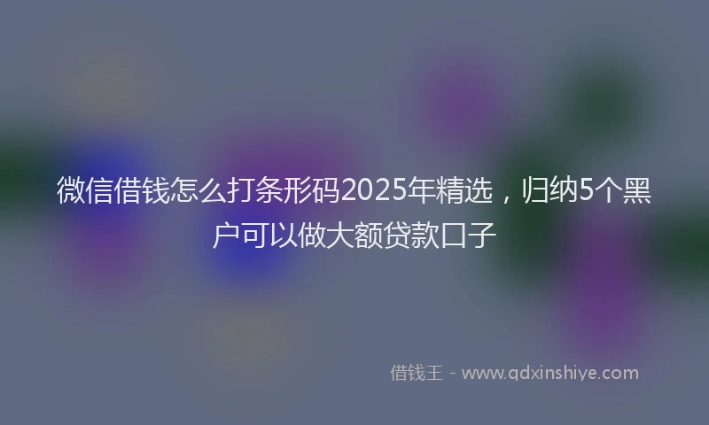 微信借钱怎么打条形码2025年精选，归纳5个黑户可以做大额贷款口子
