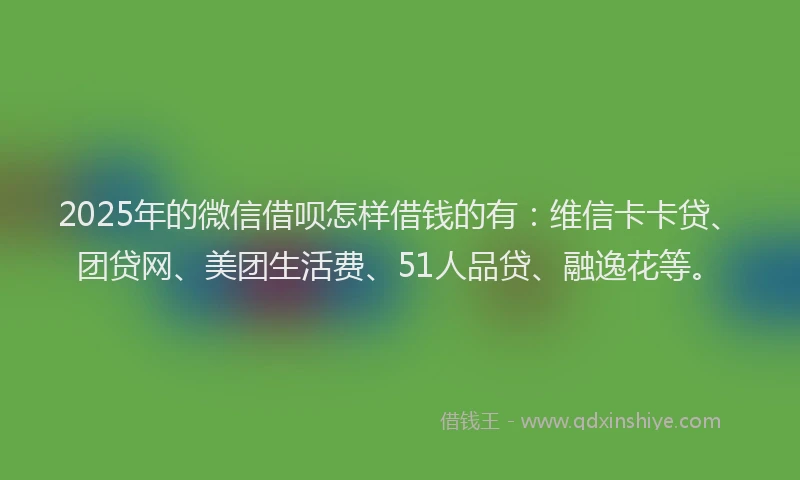 2025年的微信借呗怎样借钱的有：维信卡卡贷、团贷网、美团生活费、51人品贷、融逸花等。