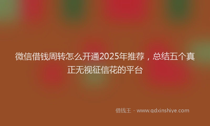 微信借钱周转怎么开通2025年推荐，总结五个真正无视征信花的平台