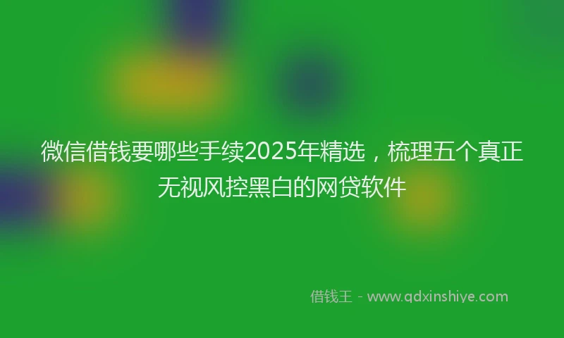 微信借钱要哪些手续2025年精选，梳理五个真正无视风控黑白的网贷软件