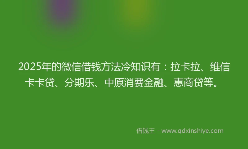 2025年的微信借钱方法冷知识有：拉卡拉、维信卡卡贷、分期乐、中原消费金融、惠商贷等。