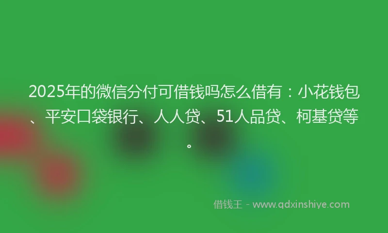 2025年的微信分付可借钱吗怎么借有：小花钱包、平安口袋银行、人人贷、51人品贷、柯基贷等。