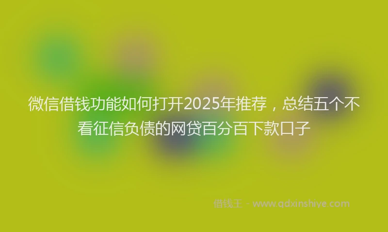 微信借钱功能如何打开2025年推荐，总结五个不看征信负债的网贷百分百下款口子