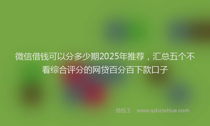 微信借钱可以分多少期2025年推荐，汇总五个不看综合评分的网贷百分百下款口子