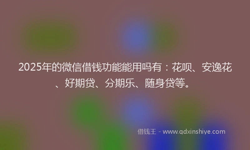 2025年的微信借钱功能能用吗有：花呗、安逸花、好期贷、分期乐、随身贷等。