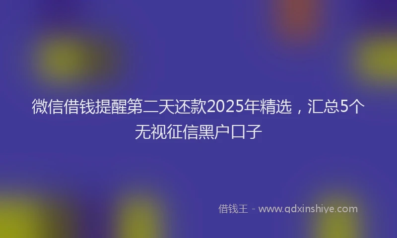 微信借钱提醒第二天还款2025年精选，汇总5个无视征信黑户口子