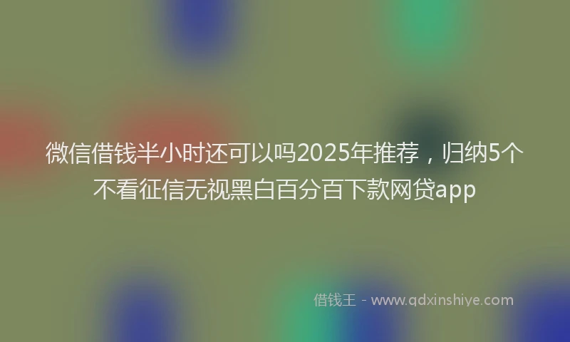 微信借钱半小时还可以吗2025年推荐，归纳5个不看征信无视黑白百分百下款网贷app