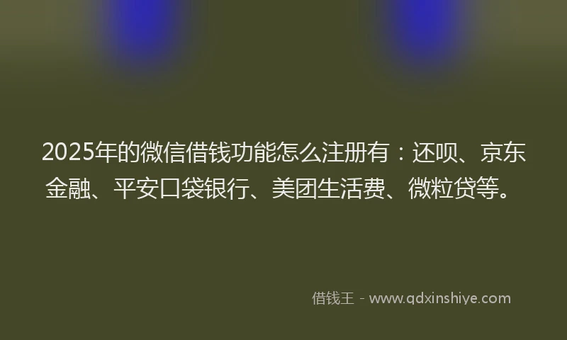 2025年的微信借钱功能怎么注册有：还呗、京东金融、平安口袋银行、美团生活费、微粒贷等。