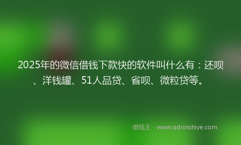 2025年的微信借钱下款快的软件叫什么有：还呗、洋钱罐、51人品贷、省呗、微粒贷等。
