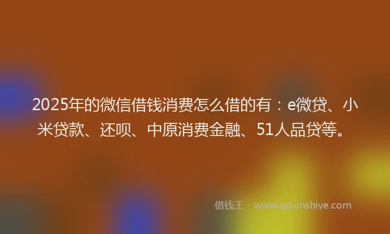 2025年的微信借钱消费怎么借的有：e微贷、小米贷款、还呗、中原消费金融、51人品贷等。