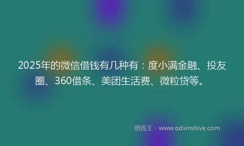 2025年的微信借钱有几种有：度小满金融、投友圈、360借条、美团生活费、微粒贷等。