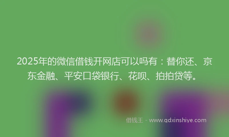 2025年的微信借钱开网店可以吗有：替你还、京东金融、平安口袋银行、花呗、拍拍贷等。