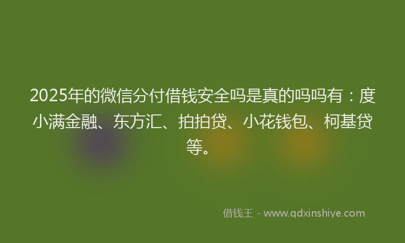 2025年的微信分付借钱安全吗是真的吗吗有：度小满金融、东方汇、拍拍贷、小花钱包、柯基贷等。