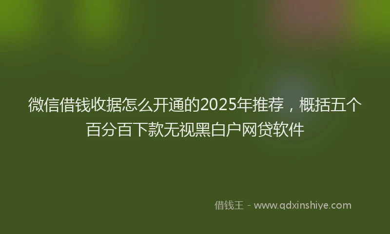 微信借钱收据怎么开通的2025年推荐，概括五个百分百下款无视黑白户网贷软件