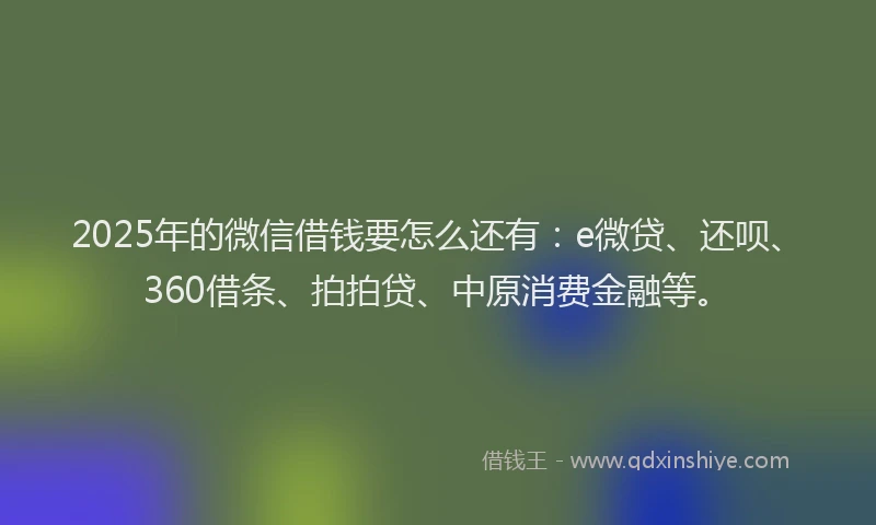 2025年的微信借钱要怎么还有：e微贷、还呗、360借条、拍拍贷、中原消费金融等。