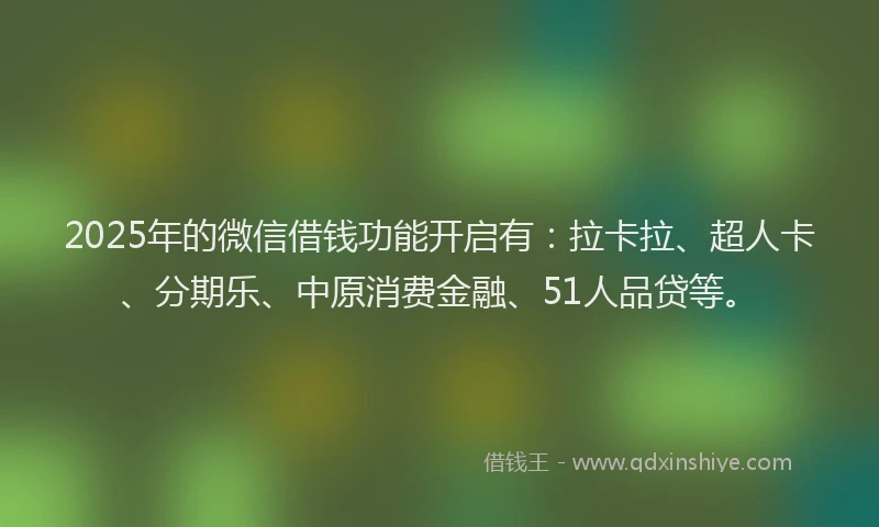 2025年的微信借钱功能开启有：拉卡拉、超人卡、分期乐、中原消费金融、51人品贷等。