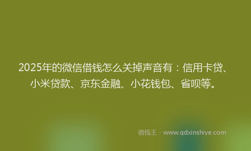 2025年的微信借钱怎么关掉声音有：信用卡贷、小米贷款、京东金融、小花钱包、省呗等。