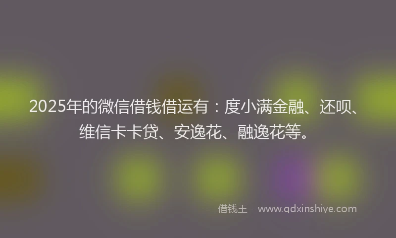 2025年的微信借钱借运有：度小满金融、还呗、维信卡卡贷、安逸花、融逸花等。