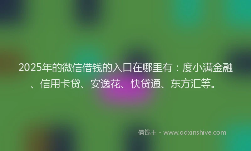 2025年的微信借钱的入口在哪里有：度小满金融、信用卡贷、安逸花、快贷通、东方汇等。