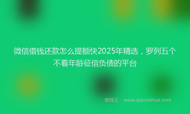 微信借钱还款怎么提额快2025年精选，罗列五个不看年龄征信负债的平台