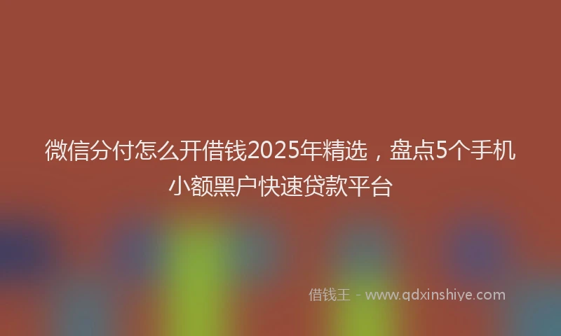 微信分付怎么开借钱2025年精选，盘点5个手机小额黑户快速贷款平台