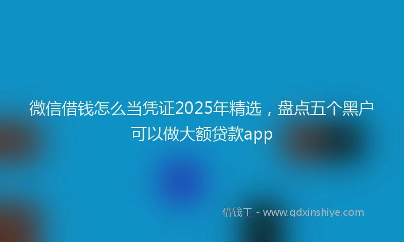 微信借钱怎么当凭证2025年精选，盘点五个黑户可以做大额贷款app
