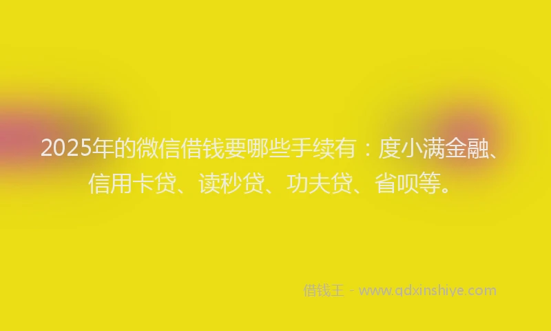 2025年的微信借钱要哪些手续有：度小满金融、信用卡贷、读秒贷、功夫贷、省呗等。