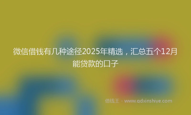 微信借钱有几种途径2025年精选，汇总五个12月能贷款的口子