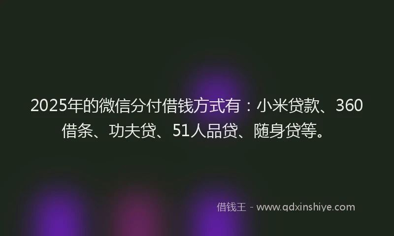 2025年的微信分付借钱方式有：小米贷款、360借条、功夫贷、51人品贷、随身贷等。