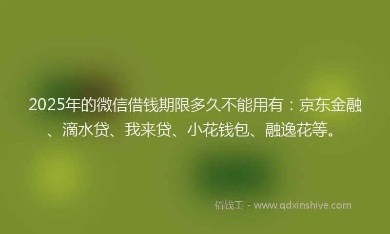 2025年的微信借钱期限多久不能用有：京东金融、滴水贷、我来贷、小花钱包、融逸花等。