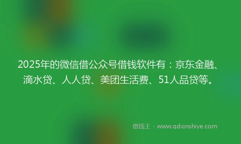 2025年的微信借公众号借钱软件有：京东金融、滴水贷、人人贷、美团生活费、51人品贷等。