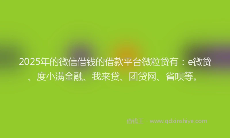 2025年的微信借钱的借款平台微粒贷有：e微贷、度小满金融、我来贷、团贷网、省呗等。