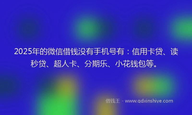 2025年的微信借钱没有手机号有：信用卡贷、读秒贷、超人卡、分期乐、小花钱包等。