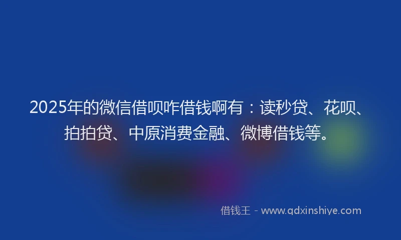 2025年的微信借呗咋借钱啊有：读秒贷、花呗、拍拍贷、中原消费金融、微博借钱等。