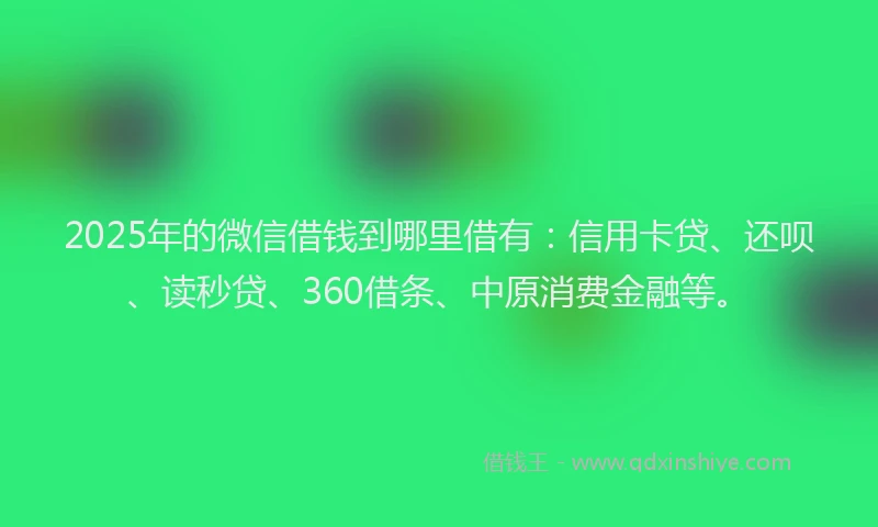 2025年的微信借钱到哪里借有：信用卡贷、还呗、读秒贷、360借条、中原消费金融等。