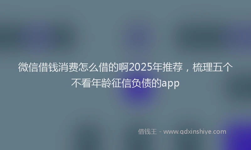 微信借钱消费怎么借的啊2025年推荐，梳理五个不看年龄征信负债的app
