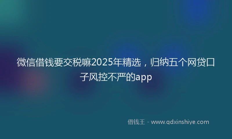 微信借钱要交税嘛2025年精选，归纳五个网贷口子风控不严的app