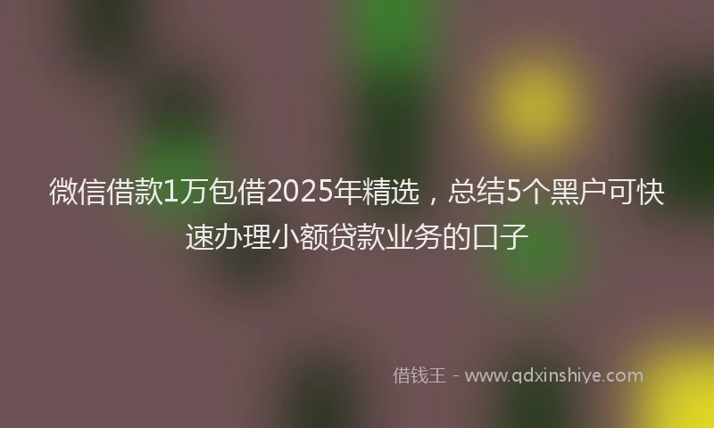 微信借款1万包借2025年精选，总结5个黑户可快速办理小额贷款业务的口子