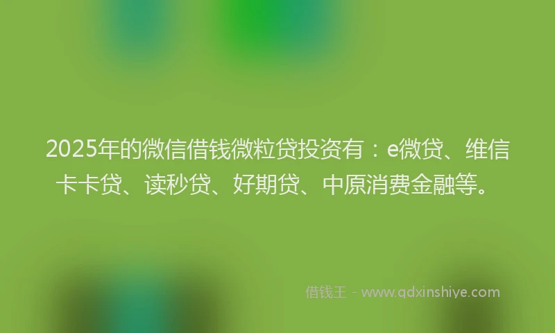 2025年的微信借钱微粒贷投资有：e微贷、维信卡卡贷、读秒贷、好期贷、中原消费金融等。