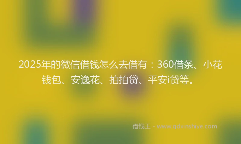 2025年的微信借钱怎么去借有：360借条、小花钱包、安逸花、拍拍贷、平安i贷等。